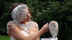 Tiffany & Sean's Wedding Video from Faithlegg House Hotel, Faithlegg, Co. Waterford